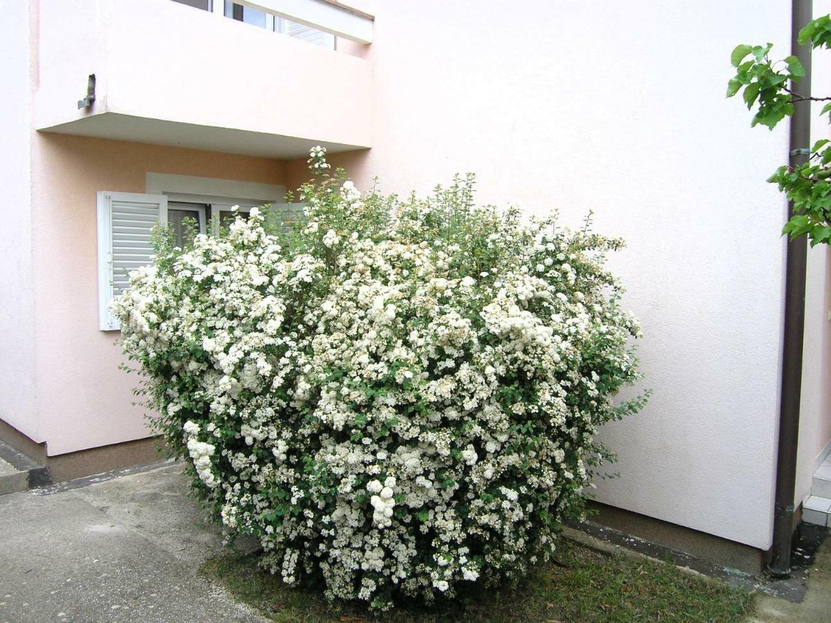 Apartments Sokolovic 克尔克 外观 照片